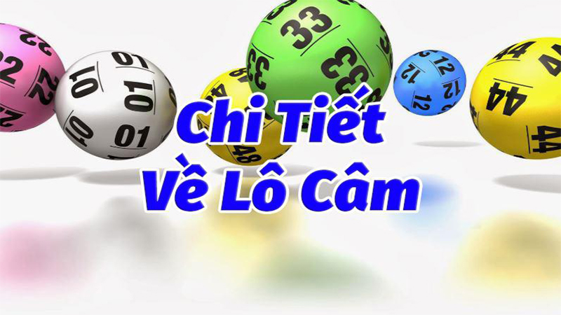 Định nghĩa lô câm