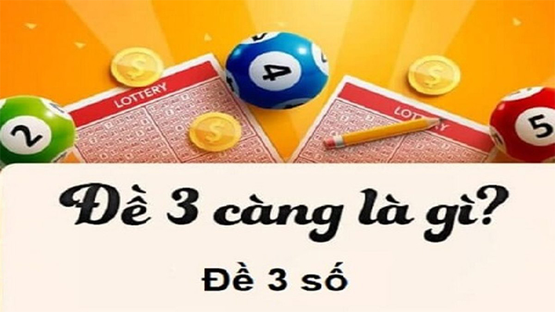 Đề 3 càng là gì